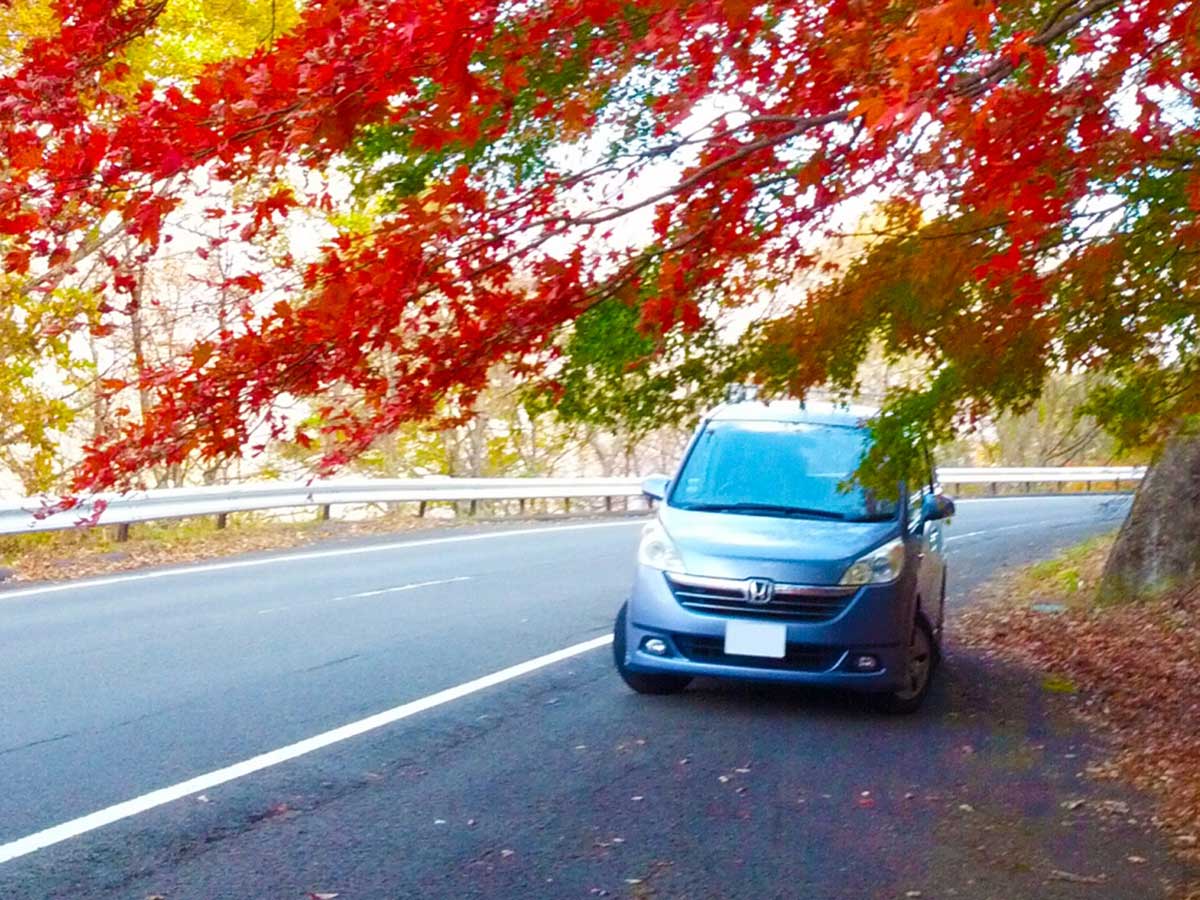 秋のドライブ